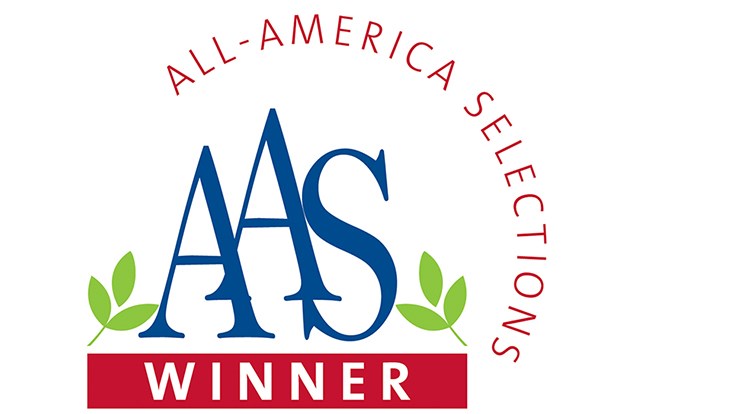 All-America Selections announces first 5 AAS winners for 2017